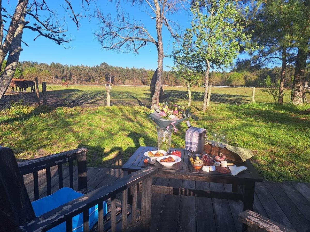 Domaine L'Oree Du Marais Le Barp Buitenkant foto